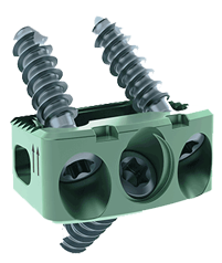 CHESAPEAKE® Cervical-Ti Stabilization System Product